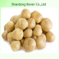 2015 Usine de pommes de terre fraîches et naturelles